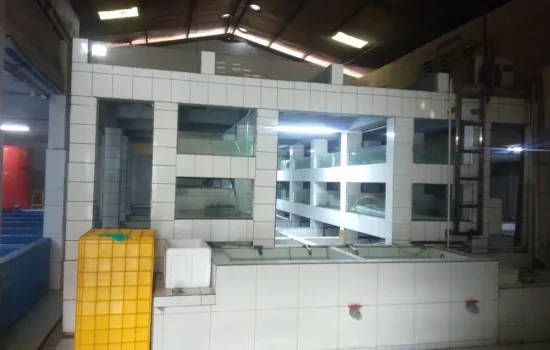 Bandara Mas 2 lt LT 450m2 LB 382m2
