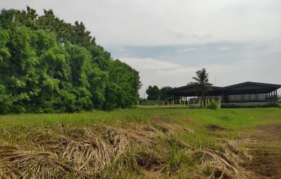 Tanah Kavling Kedaton Golf Suvarna Padi
