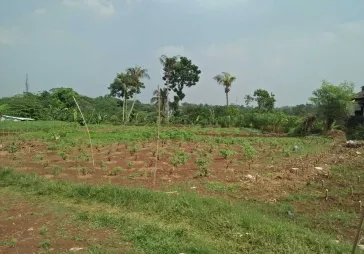 Lokasi bagus