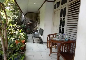 Kembang Larangan 155/145 1,5M