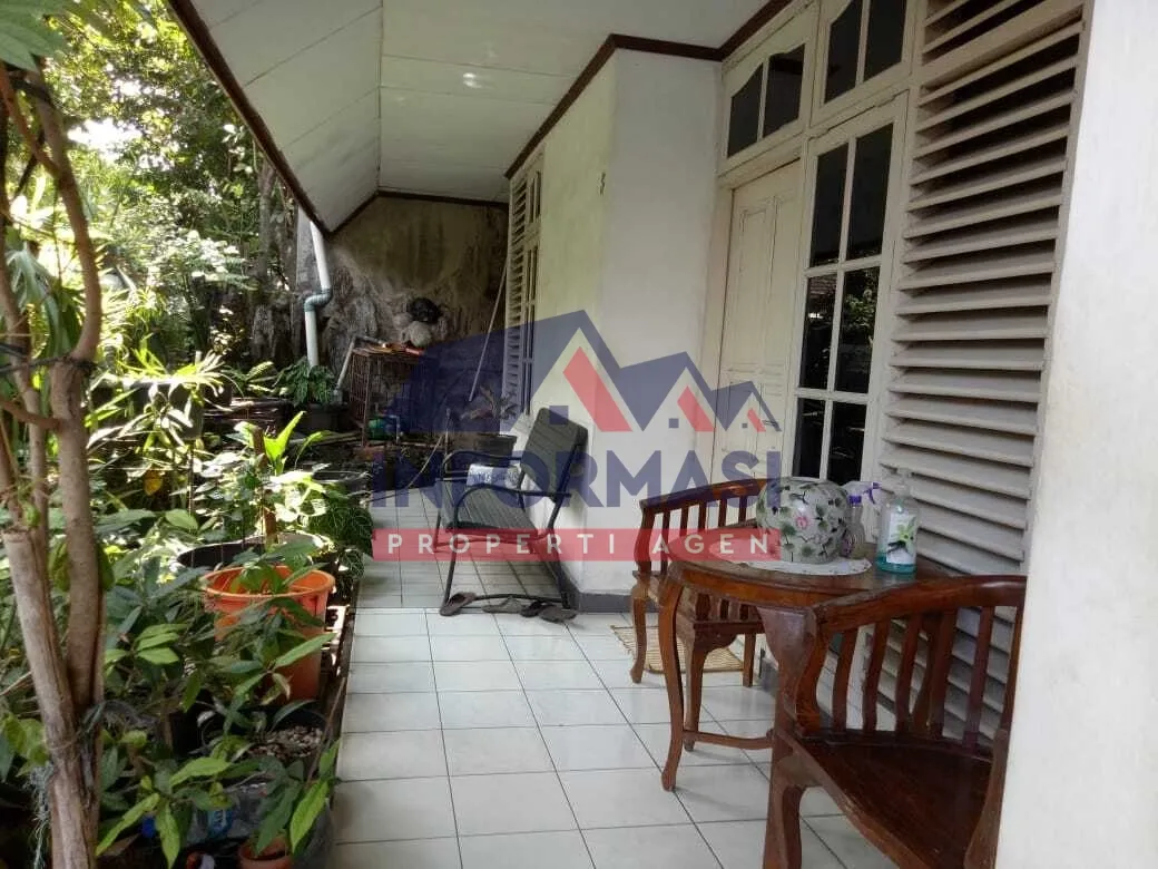 Kembang Larangan 155/145 1,5M