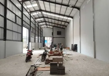 Gandeng 2 Miami Kapuk Kayu Besar