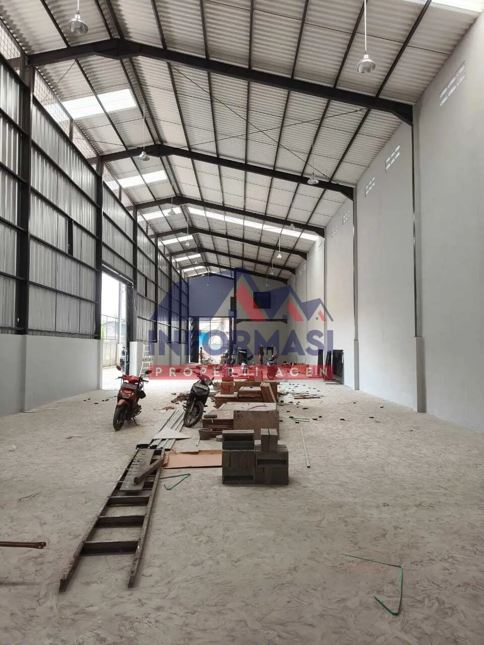 Gandeng 2 Miami Kapuk Kayu Besar