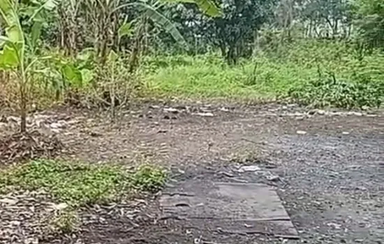 Dijual Tanah Hoek Semanan