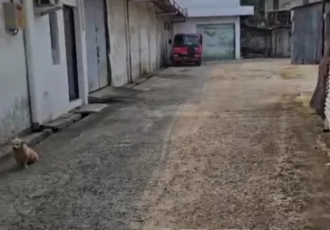 gudang 2000 2096m2