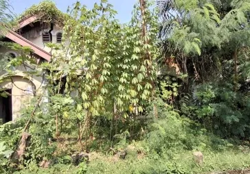 Dijual rumah HITUNG TANAH di cluster Lippo Cikarang