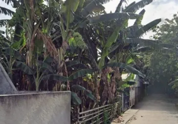 Dijual tanah di kav dki