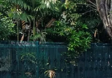 Dijual Rumah Petemon Surabaya