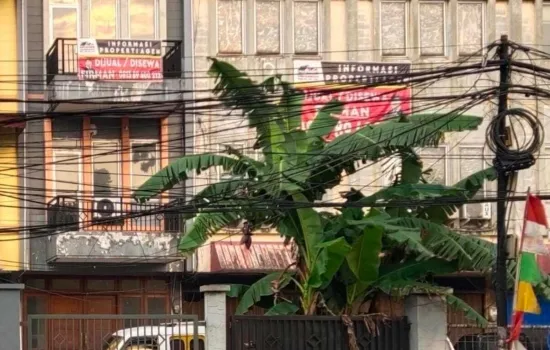 Dijual Cepat atau Di sewakan 2 unit Ruko Gandeng di Jl. Tb.
