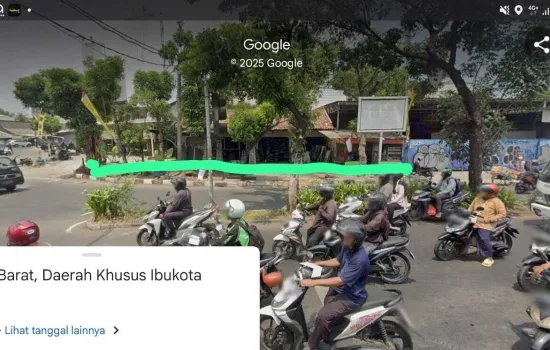 Lahan langka meruya ilir