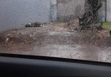 Kavling sangat bagus , strategis