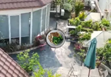 Rumah mewah komplek bni slipi