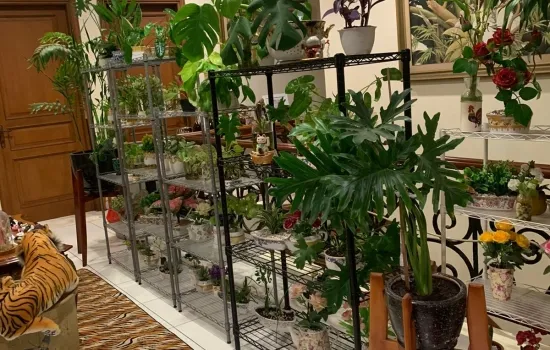 Rumah hoek Perumahan Gading Nirwana Jakut, bagus mewah