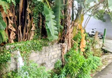 `Beli Tanah 300m² di Kedoya Baru: Lingkungan Tenang