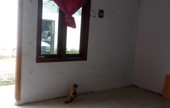 Dijual Kontrakan Cipadu Tangerang