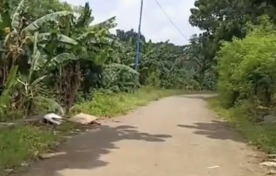 Dijual Tanah Strategis 5 Ha Jl. Panjang