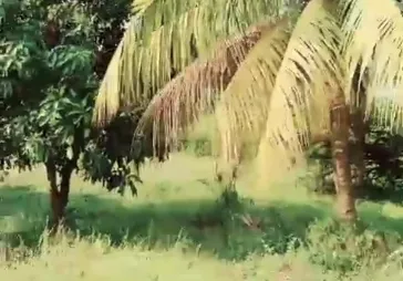 Dijual Tanah Cengkareng Komersil