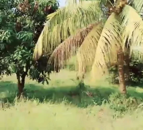 Dijual Tanah Cengkareng Komersil