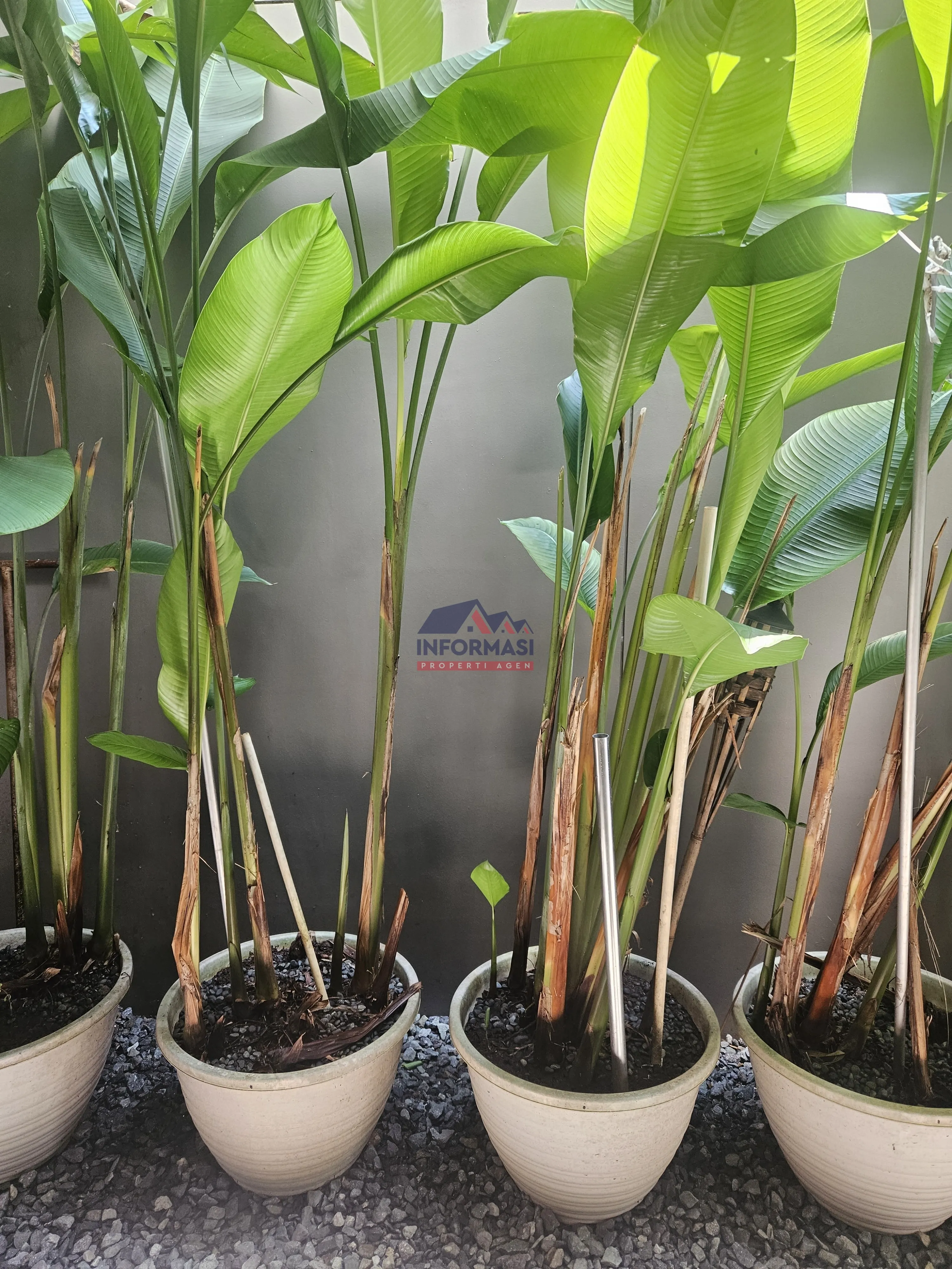 Tanah kavling lingkungan nyaman di bsd