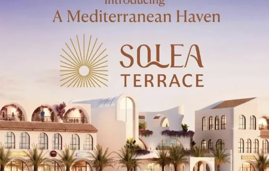 PROJECT : RUKO SOLEA TERRACE CITRA GARDEN 8