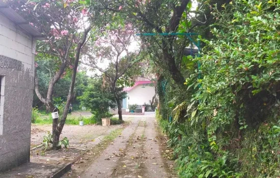 Rumah Lokasi Strategis Hitung Tanah di Jakarta Barat
