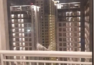 Apartment 2BR Midtown Tower Bryan
