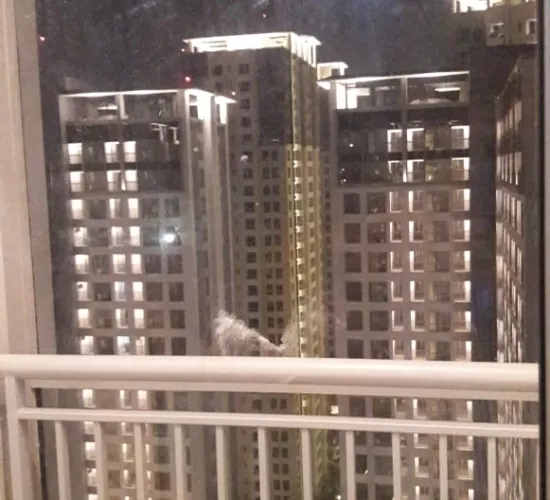Apartment 2BR Midtown Tower Bryan