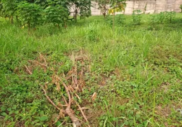 Kavling Pilar Kedoya  Jakarta Barat