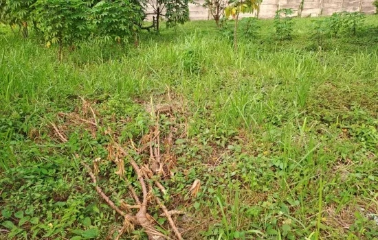 Kavling Pilar Kedoya  Jakarta Barat